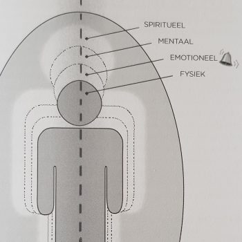 lichaamsniveaus